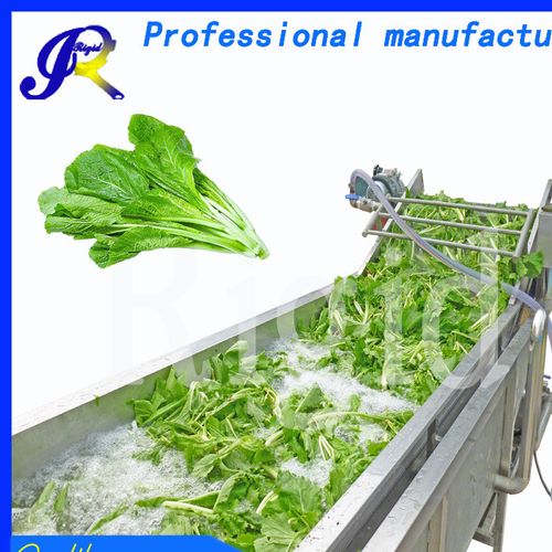 供应叶菜类蔬菜清洗机 粽叶清洗机 自动粽子叶清洗机生产厂家图片