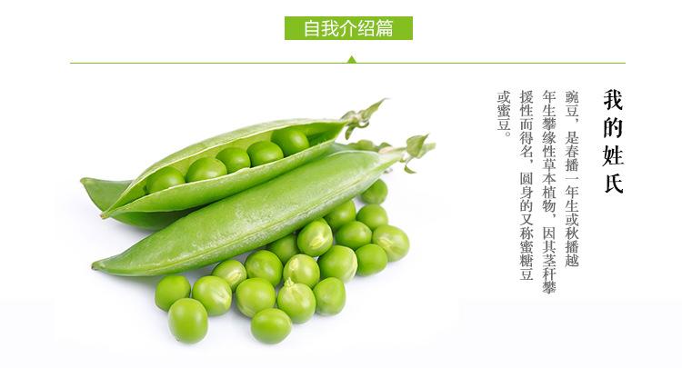 厂家直销 批发速冻蔬菜 速冻甜豌豆 冷冻青绿豌豆果蔬 质量.